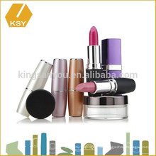 Hersteller matt Lippenstift Private Label benutzerdefinierte Logo Make-up Pinsel